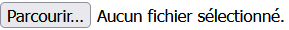 Sélecteur de fichier sur Firefox